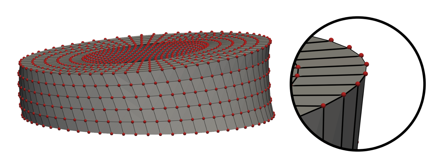 Neural-network-based intervertebral disc deformation simulation result